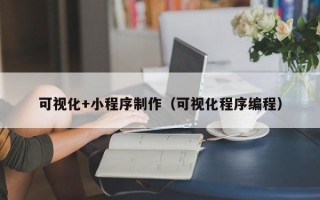 黄骅可视化+小程序制作（可视化程序编程）